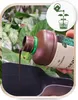 Biohumus für Zimmerpflanzen - 1L - 100% natürlich - fördert Produktbild-Vorschau 7