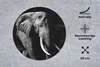MuchoWow® Mauspad Mousepad Elefant - Zähne - Schwarz - Weiß Produktbild-Vorschau 2