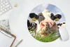 MuchoWow® Mauspad Mousepad Kühe - Gras - Wolken 30x30 cm - Produktbild-Vorschau 5