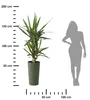 HowHomely doniczka Urbanika ECO 57 cm wysokości, doniczka Podgląd zdjęcia produktu 3