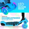 Habib 5-in-1 Kinderroller mit Rückenlehne – Abnehmbarer Produktbild-Vorschau 6