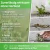 Nanoprotect Unkrautvernichter Grundstoff Essig/Acetum - 1 Produktbild-Vorschau 4