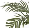 Palme Areca Golden Cane, 150 cm - Groen Productafbeelding-voorbeeld 3