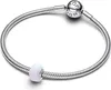 Pandora Charm chatoyant 794245C01 Pendentif charm Voir les images du produit 2