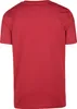 Fanatics Tampa Bay Buccaneers Primary Logo Graphic Produktbild-Vorschau 4