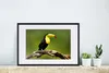 MuchoWow® Gerahmtes Poster Vogel - Tukan - Regenbogen - Produktbild-Vorschau 4