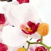Umělá květina orchidej phalaenopsis 3D-tisk v keramickém Náhled obrázku produktu 6