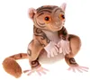HEUNEC Schule d. mag. Tiere Kobold Fitzgeraldo Produktbild-Vorschau 1
