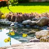 Relaxdays Teichente, 10er Set, schwimmende Entenküken, für Produktbild-Vorschau 3