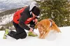 A person and a dog in the snow on a mountain. Náhled obrázku produktu