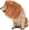 A dog wearing a lion's mane costume, sitting on a white background. Produktbild-Vorschau
