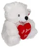 Teddybar mit Herz - weis - Plusch - 22 cm - Valentinstag Produktbild-Vorschau 6