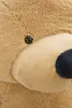 Gustaw Teddybär Groß XXL (Beige, 190cm) Classico- Produktbild-Vorschau 5