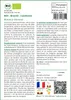 SAFLAX  -- Brocoli - Calabrese - 100 graines - Brassica Voir les images du produit 3
