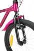 LÖWENRAD Kinder Fahrrad ab 5 Jahre | 18 Zoll Rad | Berry Produktbild-Vorschau 5