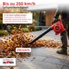 Aspiratore e soffiatore di foglie a benzina Grafner 3in1 Anteprima dell’immagine prodotto 4