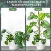 Moosstab für Monstera - 120cm Biegsame Pflanzenstütze für Produktbild-Vorschau 2