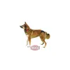 Trixie Schutzhöschen, XL: 60–70 cm, schwarz Produktbild-Vorschau 12