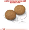 Royal Canin Adult Medium BF 4kg Zbilansowana Sucha Karma Podgląd zdjęcia produktu 14