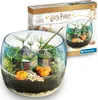 Clementoni Clementoni Harry Potter - Terrarium 19248 Voir les images du produit 25