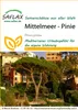 SAFLAX  - Pin parasol - 6 graines - Pinus Voir les images du produit 10