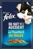 A pouch of cat food with a cartoon cat peeking out and a depiction of the food. Produktbild-Vorschau