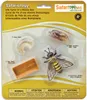 Safari 622716 – Lebenszyklus Einer Honigbiene Produktbild-Vorschau 4