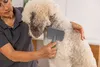 Moser Animal Large Slicker Brush - brosse carde grande Voir les images du produit 4