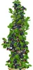 BALDUR Tuin 1x Kolomframboos Navaho® 'Big&Early', doornloze Productafbeelding-voorbeeld 3