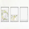 Three windows with roller blinds, showing different levels of coverage. Náhľad obrázku produktu