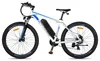 Bicicletta Elettrica | FAFREES | F28 MT | 250W 36V15Ah Anteprima dell’immagine prodotto 4