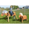 EDUPLAY 160249 Holzpferd 80 cm lasiert, 168 x 74 x 110 cm, Produktbild-Vorschau 9