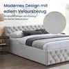 Home Collective Polsterbett Doppelbett Bett 140x200 160x200 Produktbild-Vorschau 3