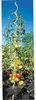 WINDHAGER Tomaten-Spiralstab verzinkt 180cm 05637 Produktbild-Vorschau 8
