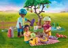 PLAYMOBIL Country 71239 Picknickausflug mit Pferden Produktbild-Vorschau 9