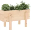 vidaXL Kvetináč 62x30x38 cm z masívneho borovicového dreva Náhľad obrázku produktu 3