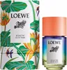 Loewe Paula's Ibiza Eclectic Eau de Toilette unisex 100 ml Produktbild-Vorschau 6