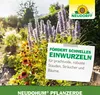 Fördert schnelles Einwurzeln für prachtvolle, robuste Stauden, Sträucher und Bäume Produktbild-Vorschau