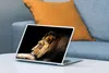 Nálepka na notebook - 11.6 palcov - Profil - Lion - Black Náhľad obrázku produktu 4