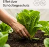 20m² záhradné rúno na rastliny 2 x 10m - 17g/m² Náhľad obrázku produktu 4