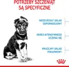 Royal Canin Maxi Puppy, Szczenięta, Maxi (26 - 44 kg), Ryż, Podgląd zdjęcia produktu 5