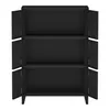 An empty black cabinet with three shelves and doors open. Voir les images du produit