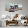 Bild auf Leinwand - Leinwandbild - Zebra Tier Wiese - Produktbild-Vorschau 6