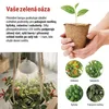 LED GROW pěstební lampa 5 W, časovač, bílá Náhľad obrázku produktu