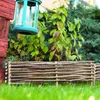 BOGATECO 3 x lemovanie záhonov z lieskových orechov | výška Náhľad obrázku produktu 7