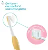 Chicco Brosse à dents 6-36 mois Indigo, 2 pièces Voir les images du produit 4