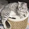 PawHut škrabadlo, výška 70 cm pre mačky, mačací strom, Náhľad obrázku produktu 8