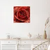 Wanduhr aus Glas mit Motiv Wassertropfen Rose- 30 x 30 cm - Produktbild-Vorschau 3