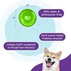 Planet Dog Orbee-Tuff Snoop grün – Intelligenzspielzeug für Produktbild-Vorschau 9