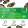 Vitabay Grünlippmuschelextrakt 2000mg Hochdosiert - 300 Produktbild-Vorschau 7